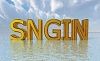 sngin's Avatar