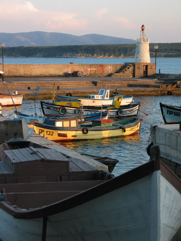 Sam-Sabrina's Avatar