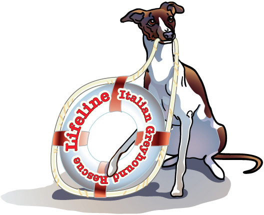 LifelineItalianGreyhoundRescue's Avatar