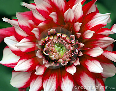 Julia-n-Myles's Avatar