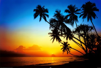 lehua808's Avatar