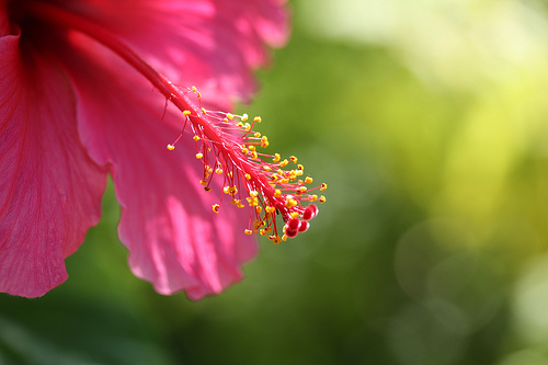 bewellwithjenn's Avatar