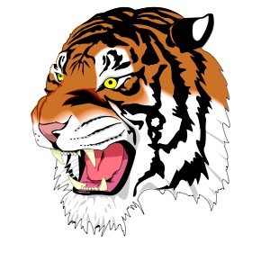 Mijovi's Avatar
