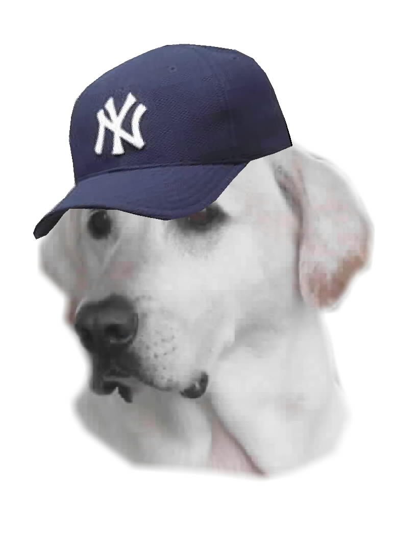 marjielob's Avatar