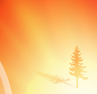 tim1online's Avatar