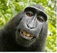 michael_griffith-617's Avatar