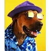 JoeParent's Avatar