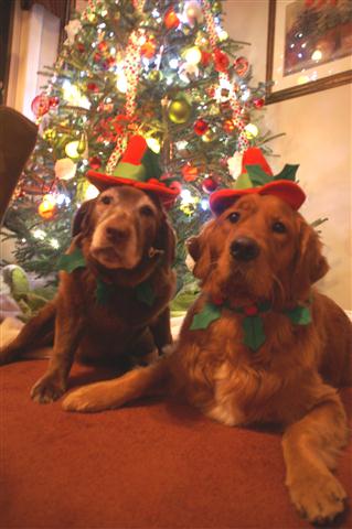 microcosmpc's Avatar