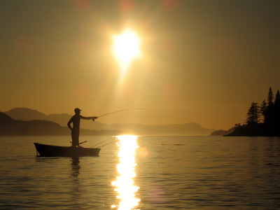 Bargain-Fishing-Supplies's Avatar