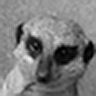 oldsourdough_99's Avatar