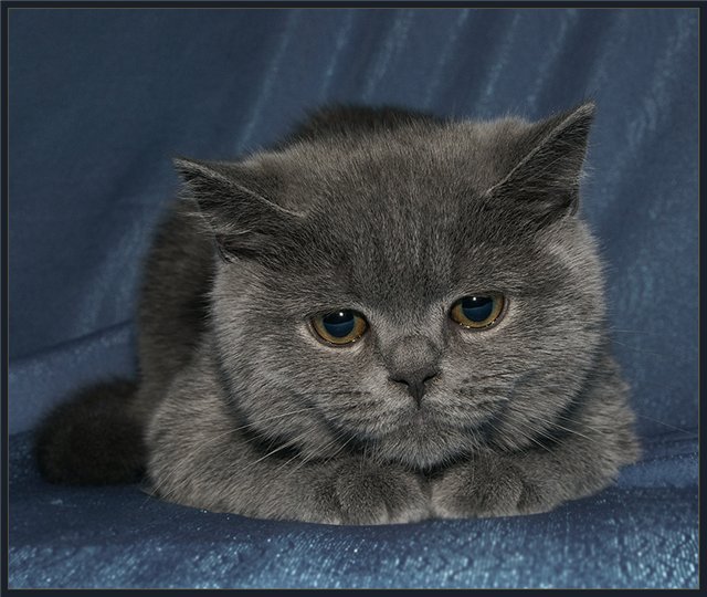 Alexey3341's Avatar