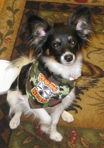 Jacksonsher's Avatar