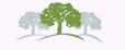 ORCC's Avatar