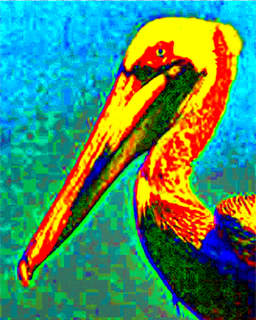 Singingbird's Avatar