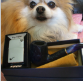 whimsyt's Avatar