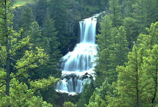 mahaffey29607's Avatar