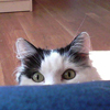 lucyalmost's Avatar