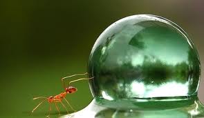 _crosscountry_'s Avatar