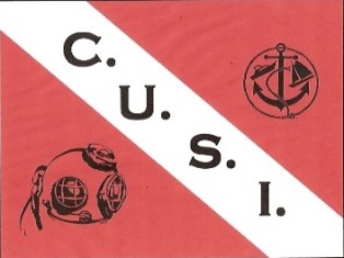 CUSI   CAPT. BARRY's Avatar