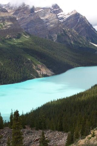 marekjulina's Avatar