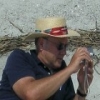 dale3242's Avatar