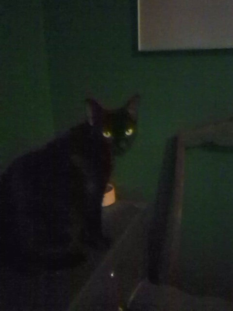 motherstouch's Avatar