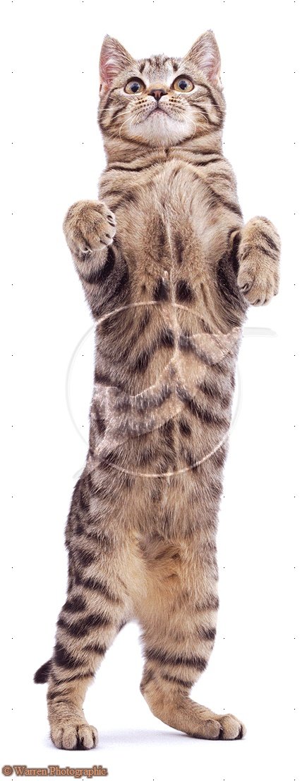 taylorgilday's Avatar