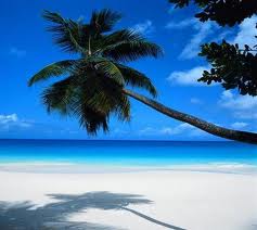 Tropic_Thunder's Avatar