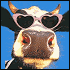 Mikiejc's Avatar