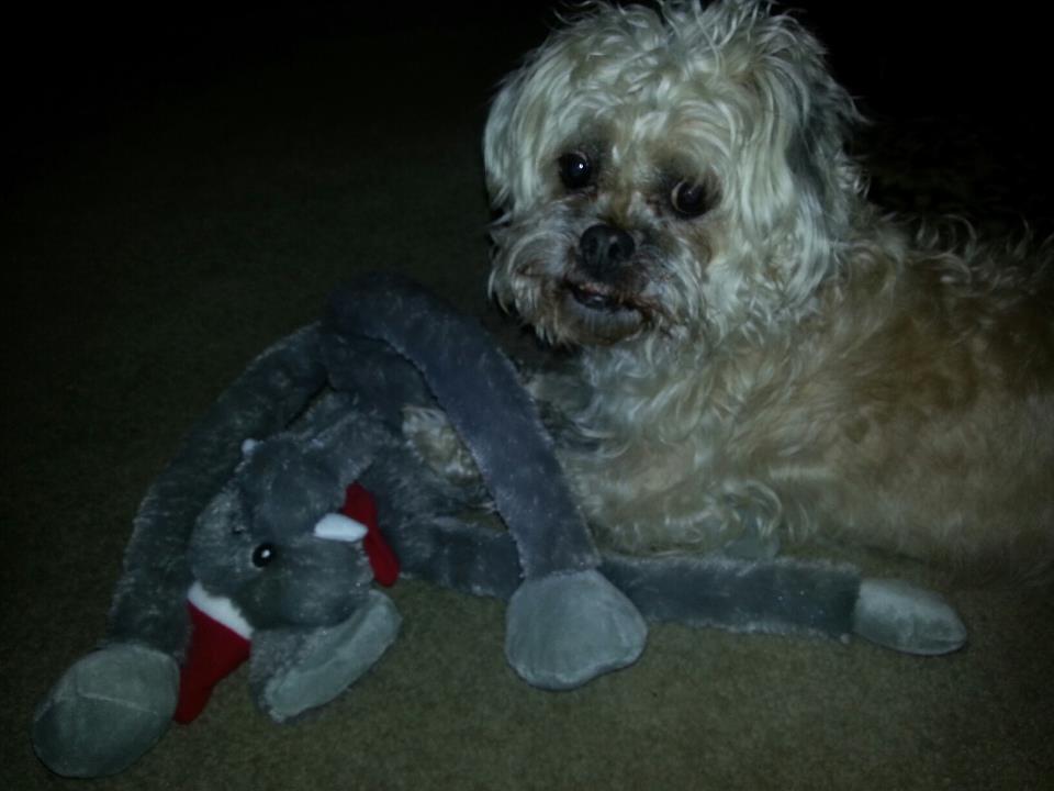 myra_broslat's Avatar