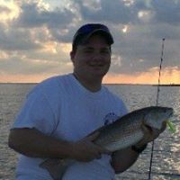 dyslexicsquirrel's Avatar