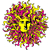 konasports's Avatar