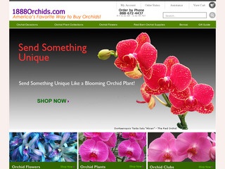 1-888-Orchids.c