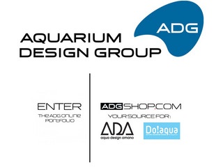 Aquarium Design