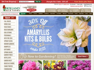 Holland Bulb Fa