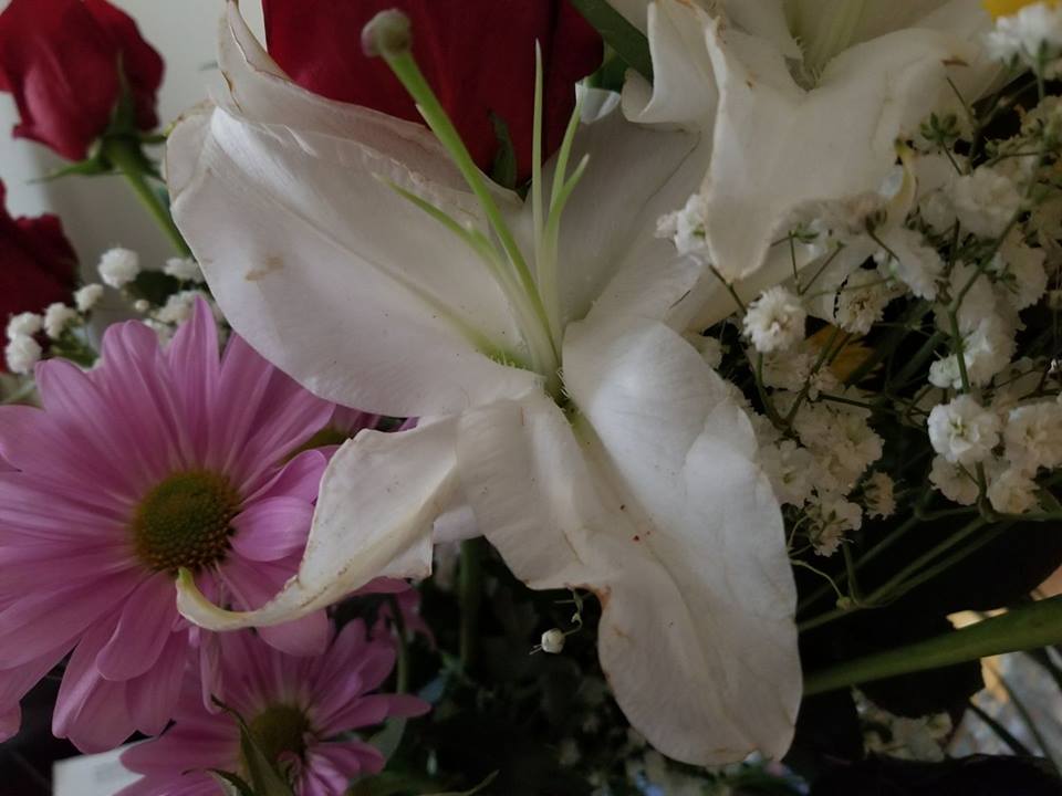 Diamonds International Reviews 76 Reviews Of Diamondsinternational Com Resellerratings