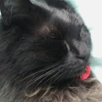 StephenDeekat's Avatar