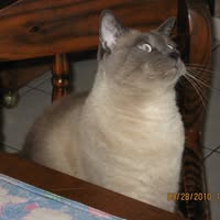 CindyJones3806652243's Avatar