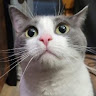 JimJJacoby's Avatar